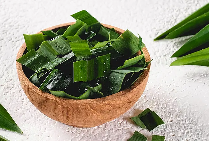 Benefits-Of-Fresh-Pandan-Leaves-1
