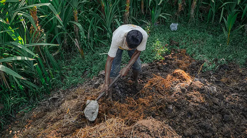 We Produce Fertilizer In-House And Use Advanced Planting Techniques