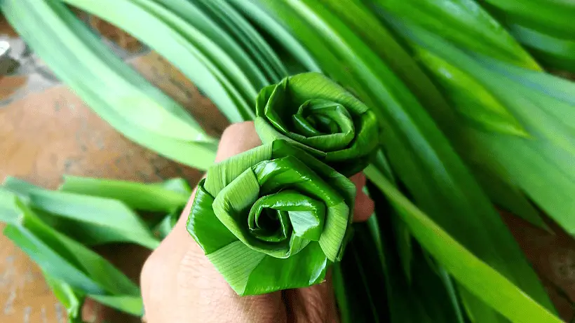 7 Surprising Benefits of Pandan Leaves for Natural Wellness.