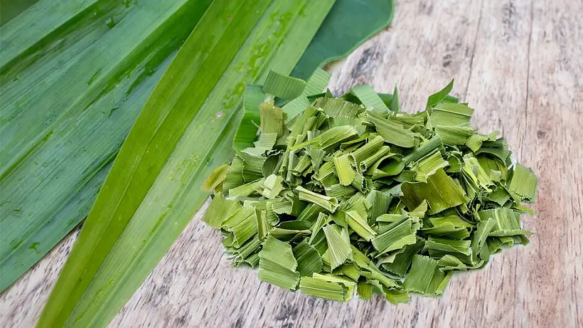 Fresh vs Dried Pandan: Which One Elevates Your Dish Best?