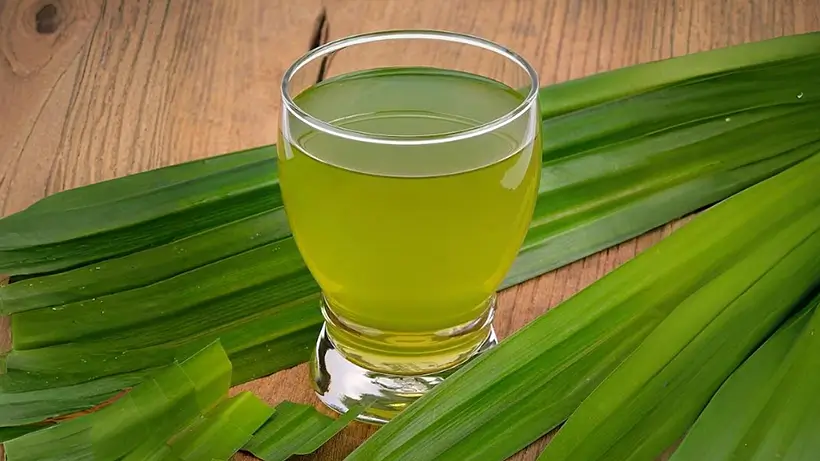 Why Pandan Tea Is the Next Big Thing in Global Market?